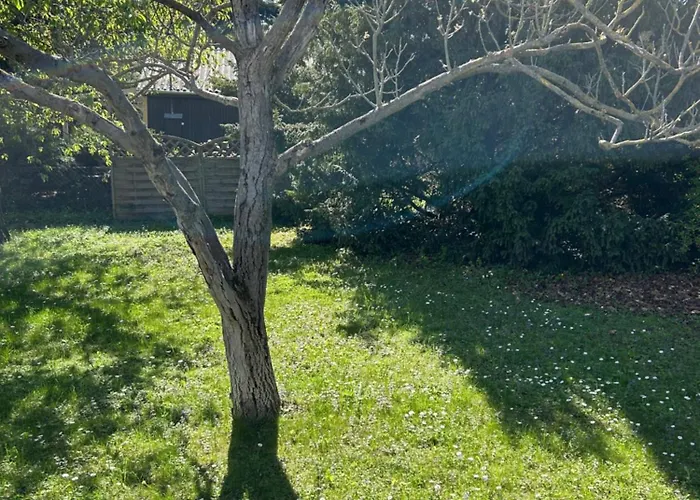 Dom wakacyjny Birkenhof Vendeghaz