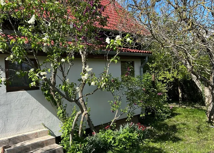 Nyaraló Birkenhof *