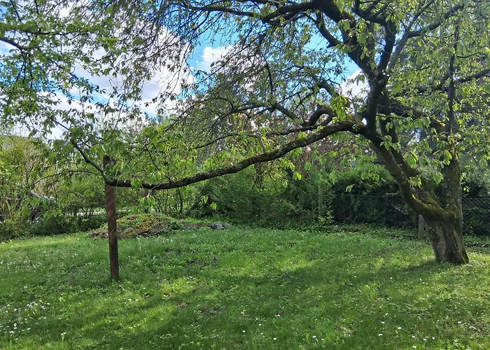Birkenhof Vendeghaz *